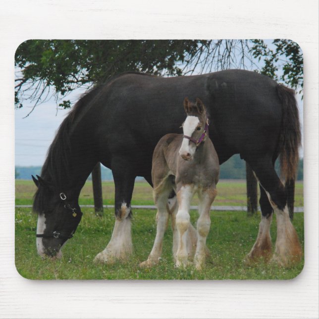 Black Clydesdale and Filly Mouse Pad (Front)