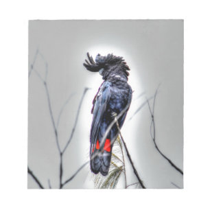 BLACK COAKTOO QUEENSLAND AUSTRALIA ART EFFECTS NOTEPAD