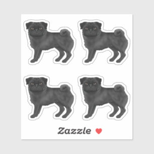 Black Coat Colour Pug Mops Cute Dog Illustrations