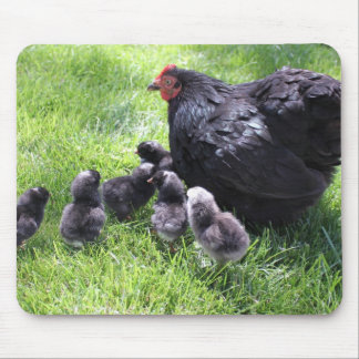 Black Cochin Chicken with Chicks Mousepad