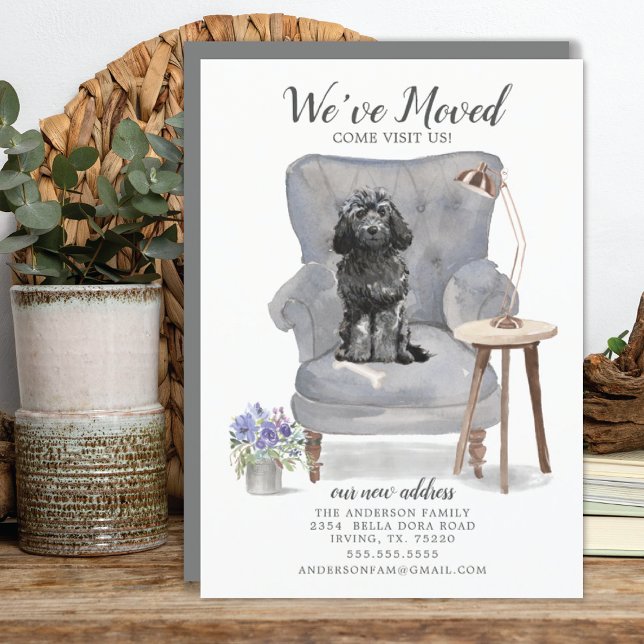 Black Cockapoo Moving Announcement (Creator Uploaded)