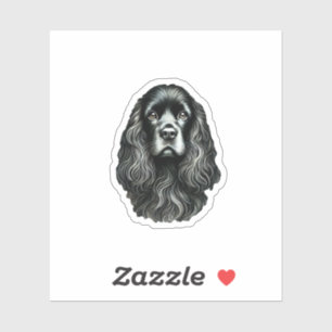 Black Cocker Spaniel 