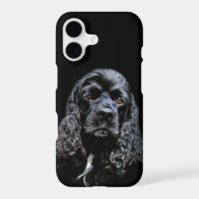 Black cocker spaniel face (Back)