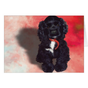 Black Cocker Spaniel Puppy - Abby