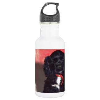 Black Cocker Spaniel Puppy - Abby 532 Ml Water Bottle