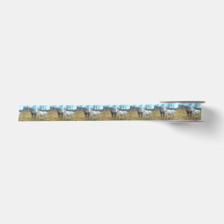 Black Colt White Horse Satin Ribbon