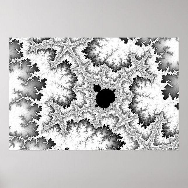 Black Coral Poster (Front)