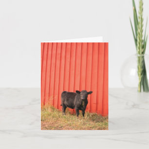 Black Cow Red Barn Note Card