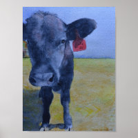 Black Cow with Red Ear Tag