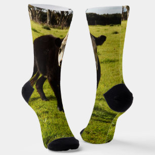 Black Cow With White Face And Mohawk, Socks
