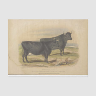Black Cows Ephemera Decoupage Vintage Farm Tissue Paper