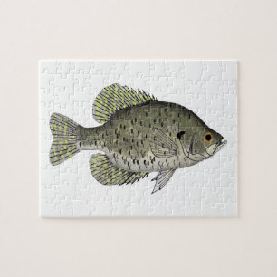 Black Crappie Poster Jigsaw Puzzle