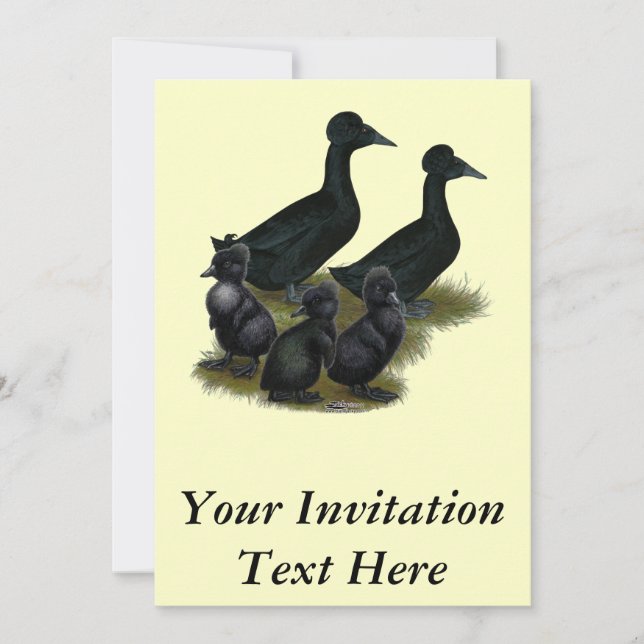 Black Crested Duck Family Invitation (Front)