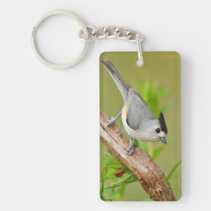 Black-Crested Titmouse Key Ring