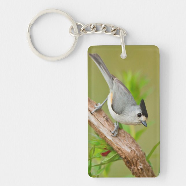 Black-Crested Titmouse Key Ring (Front)