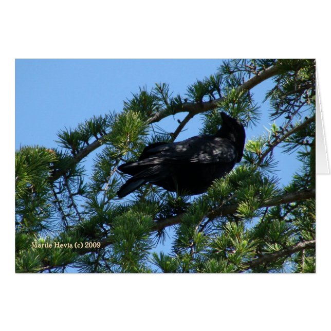 Black Crow (1a) - Customisable (Front Horizontal)