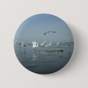 Black Crow and White Cranes: A Contrast in Nature 6 Cm Round Badge