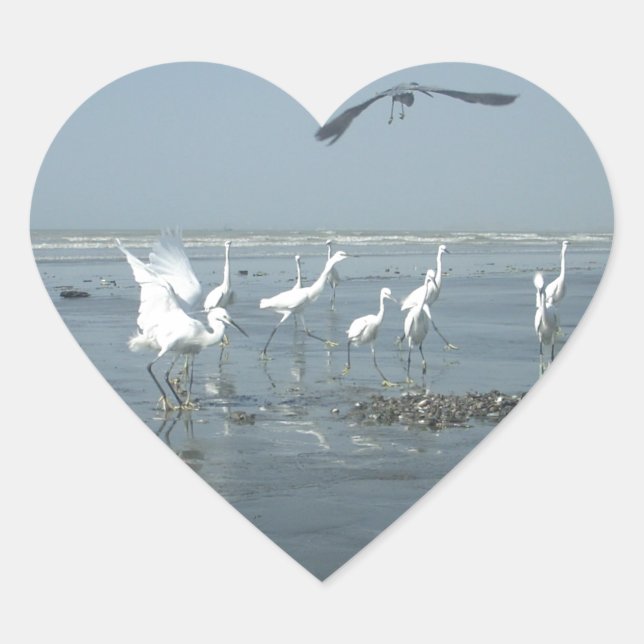 Black Crow and White Cranes: A Contrast in Nature Heart Sticker (Front)
