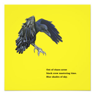Black Crow & Haiku Photo Print