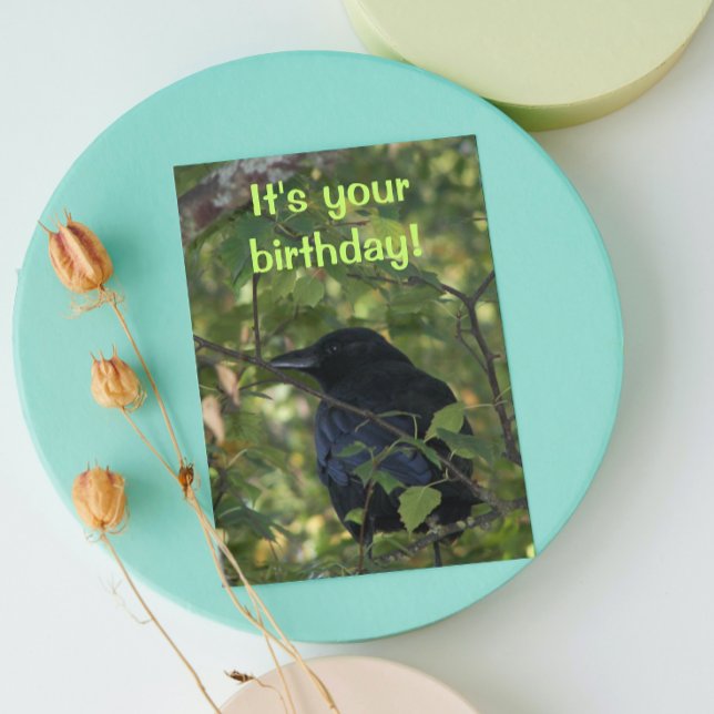 Black Crow in Tree Photo Birthday Card (In Situ)