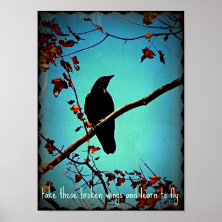 Black Crow On Tree Branch Original Photo Design Poster