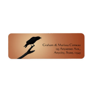 Black Crow Raven Bird Silhouette Orange Background