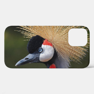 Black crowned crane iPhone 12 case