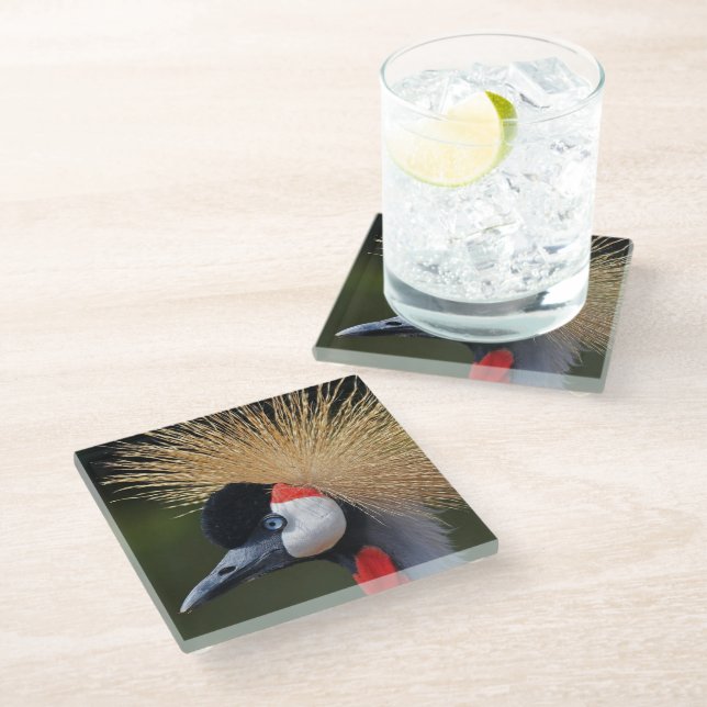 Black crowned crane glass coaster (Angled)
