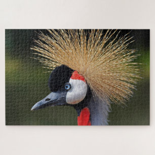 Black crowned crane jigsaw puzzle