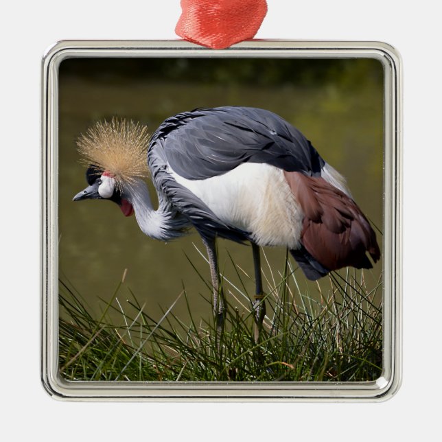 Black Crowned Crane Metal Tree Decoration (Front)