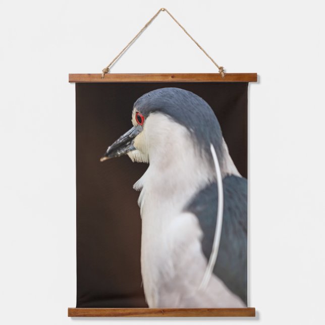 Black-crowned Night Heron Portrait Hanging Tapestry (Front)