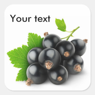 Black currants square sticker