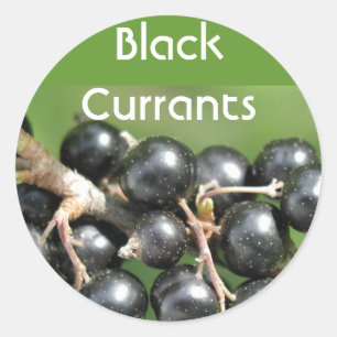 Black Currants stickers