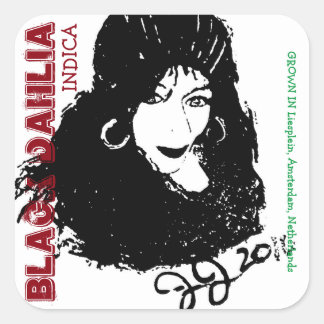 BLACK DAHLIA INDICA SQUARE STICKER