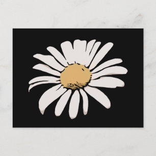 Black Daisy Floral Postcard