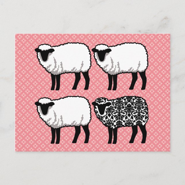Black Damask Sheep Postcard (Front)