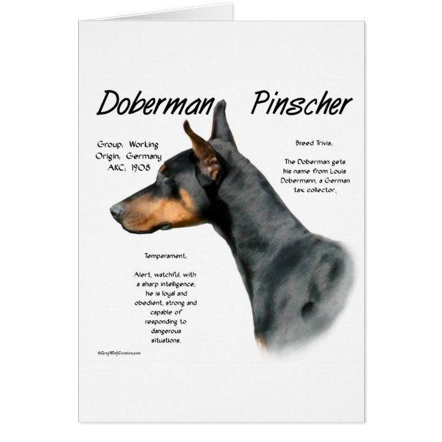 Black Doberman Pinscher History  (Front)