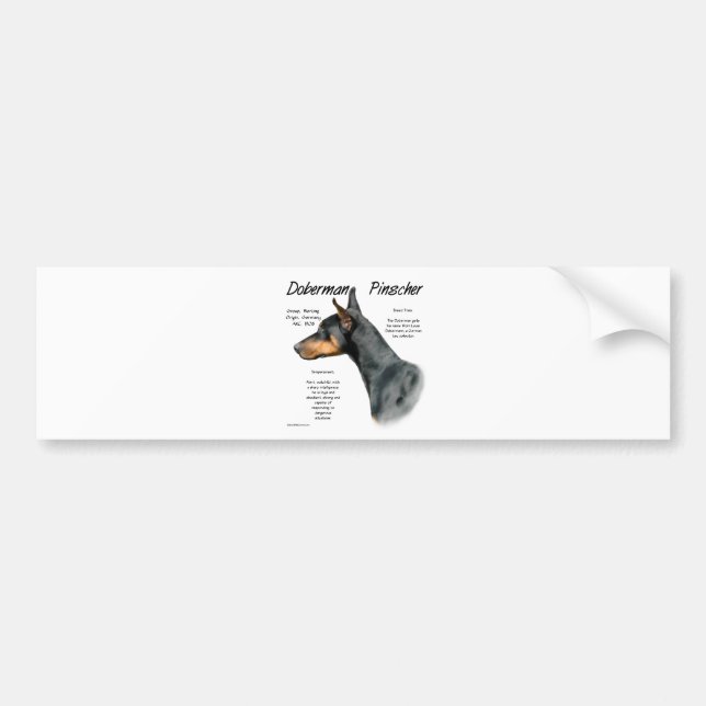 Black Doberman Pinscher History  Bumper Sticker (Front)