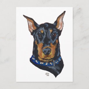Black Doberman Pinscher Postcard