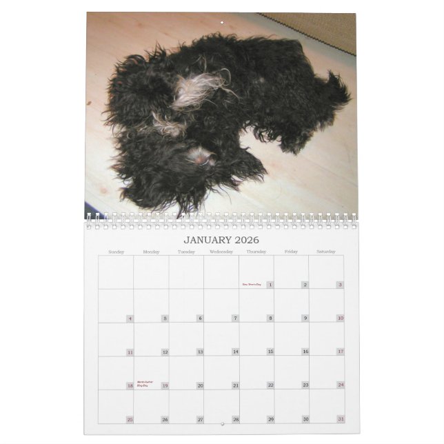 Black Dog Calendar 2010 (Jan 2026)