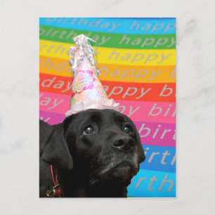 Black Dog Colourful Happy Birthday Text Postcard