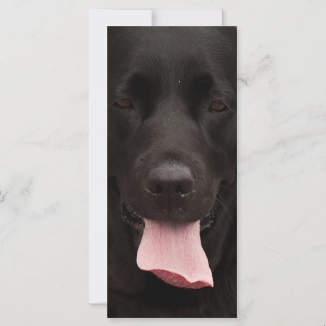 Black dog face (Front)