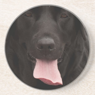 Black dog face coaster