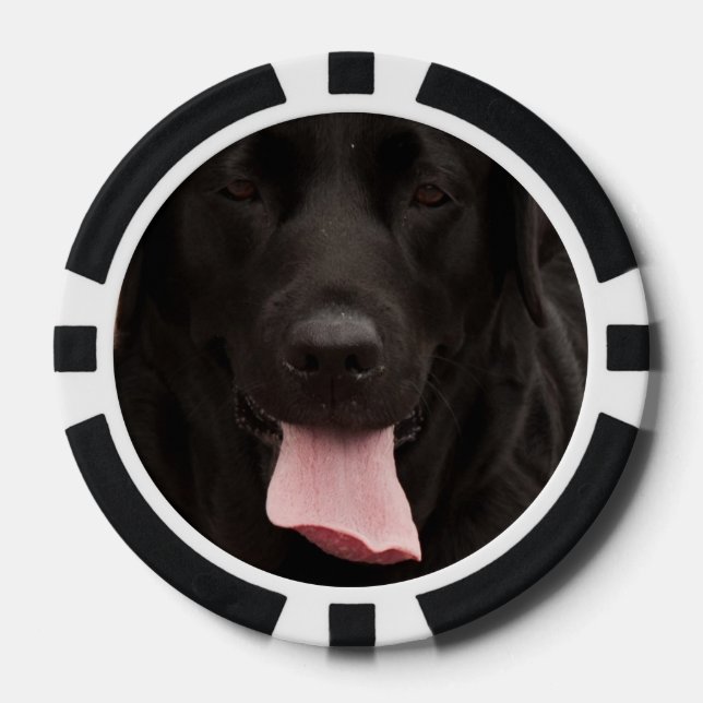 Black dog face poker chips (Front)