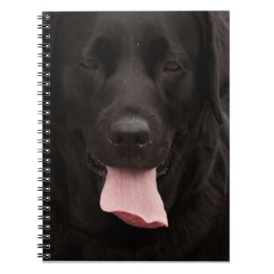 Black dog face spiral notebook