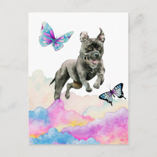 Black Dog Jumping Over Rainbow Clouds Postcard