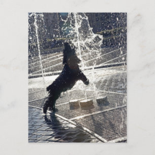 Black dog jumping through fountain on waterside postcard