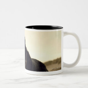 Black dog on sand with stick Two-Tone coffee mug