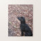 Black Dog Photo