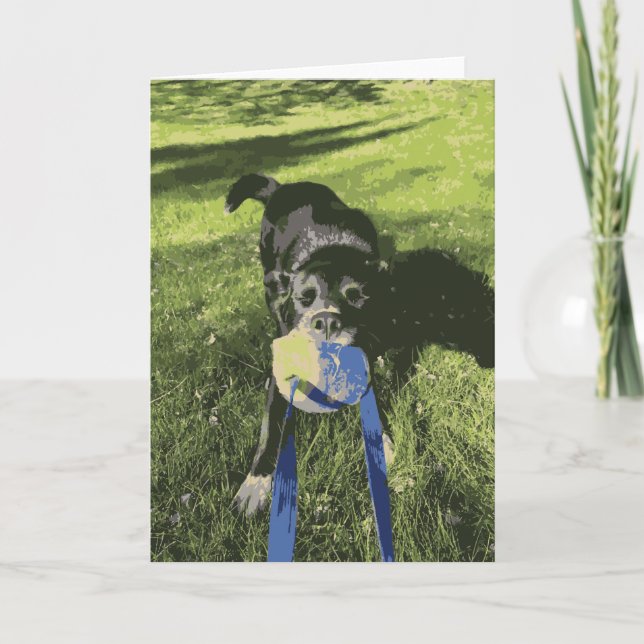 Black Dog Playing Tug Of War Husky Lab Puppy Card (Front)